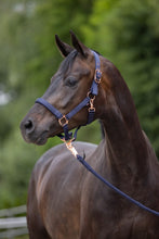 Laden Sie das Bild in den Galerie-Viewer, Halfter Classy