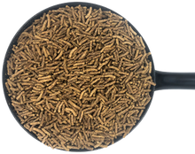 Laden Sie das Bild in den Galerie-Viewer, Dodson & Horrell Build & Glow 20kg (Nur Auf Anfrage)