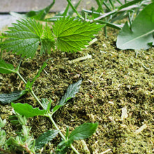 Laden Sie das Bild in den Galerie-Viewer, Eohippos Herbal Heaven Mash 15 kg – getreidefreies Kräutermash (nur mit 2-4 Wochen vorbestellung )