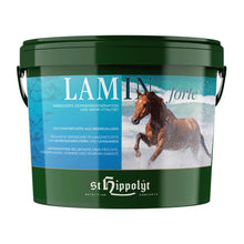 Laden Sie das Bild in den Galerie-Viewer, Lamin FORTE - in verschiedenen Größen