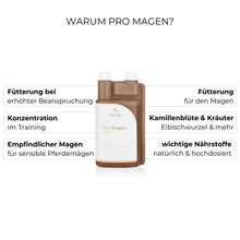 Laden Sie das Bild in den Galerie-Viewer, Alpurial Pro Magen 1L (mit Vorbestellung)