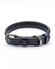 Laden Sie das Bild in den Galerie-Viewer, Halsband Romeo