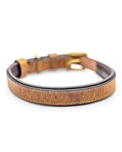 Laden Sie das Bild in den Galerie-Viewer, Halsband Romeo