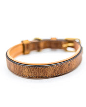 Laden Sie das Bild in den Galerie-Viewer, Halsband Romeo