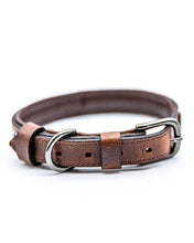 Laden Sie das Bild in den Galerie-Viewer, Halsband Daisy