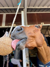 Laden Sie das Bild in den Galerie-Viewer, Knabberbälle Unika Balls Elyte