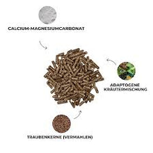 Laden Sie das Bild in den Galerie-Viewer, Kristallkraft Mental Balancer - 6,5 kg Neu im Sortiment (Vorbestellung 1-2 Wochen)