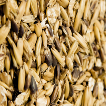 Laden Sie das Bild in den Galerie-Viewer, Höveler Prachthafer 25 kg