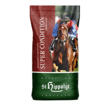 Laden Sie das Bild in den Galerie-Viewer, Super Condition