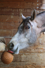 Laden Sie das Bild in den Galerie-Viewer, Knabberbälle Unika Balls Endurance