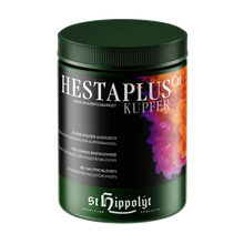 Laden Sie das Bild in den Galerie-Viewer, Hesta plus Kupfer