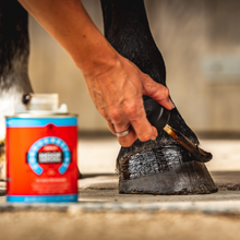 Laden Sie das Bild in den Galerie-Viewer, Cornucrescine Hufpflege