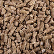 Laden Sie das Bild in den Galerie-Viewer, Derma Vital Cubes 25 kg - FutterFEE