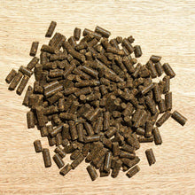 Laden Sie das Bild in den Galerie-Viewer, Hefekultur