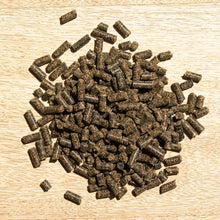 Laden Sie das Bild in den Galerie-Viewer, Hesta plus Eisen