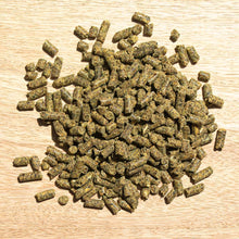 Laden Sie das Bild in den Galerie-Viewer, Hesta plus Kupfer