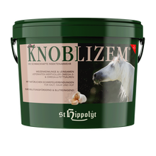 Laden Sie das Bild in den Galerie-Viewer, Knoblizem - in verschiedenen Größen