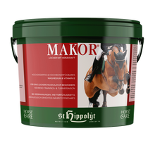 Laden Sie das Bild in den Galerie-Viewer, Makor - in verschiedenen Größen