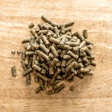 Laden Sie das Bild in den Galerie-Viewer, Movilan Dog