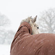 Laden Sie das Bild in den Galerie-Viewer, Wasch-/Reparatur-/Imprägnierservice Paddockdecke