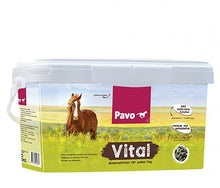 Laden Sie das Bild in den Galerie-Viewer, Vital - FutterFEE
