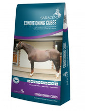Laden Sie das Bild in den Galerie-Viewer, Conditioning Cubes 20kg