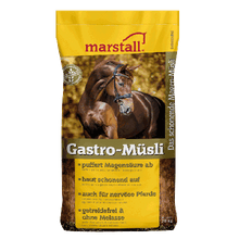 Laden Sie das Bild in den Galerie-Viewer, Marstall Gastro Müsli 20kg