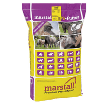 Laden Sie das Bild in den Galerie-Viewer, Stall-Riegel