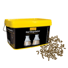 Laden Sie das Bild in den Galerie-Viewer, Hufregulator - in verschiedenen Größen