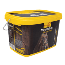 Laden Sie das Bild in den Galerie-Viewer, Marstall Magnesium