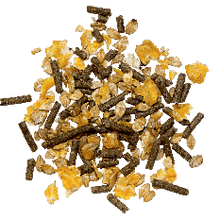 Laden Sie das Bild in den Galerie-Viewer, Haferfrei 20 kg