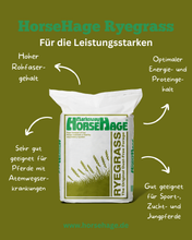Laden Sie das Bild in den Galerie-Viewer, Horse Hage Ryegras grün 20 Kg