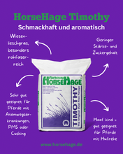 Laden Sie das Bild in den Galerie-Viewer, HorseHage Timothy (Vorbestellung 2-4 )