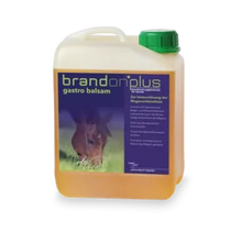 Laden Sie das Bild in den Galerie-Viewer, st Hippolyt brandon plus gastro balsam
