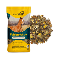 Marstall Fohlen aktiv 15kg