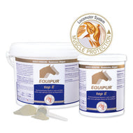 EQUIPUR Top E