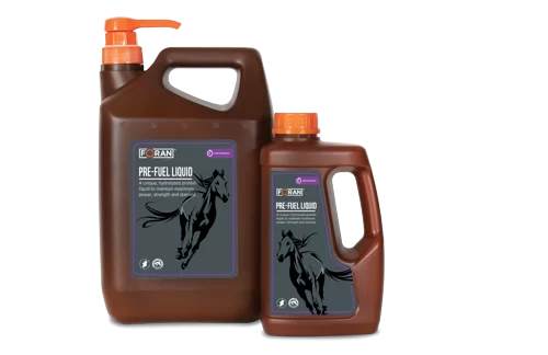 Foran Equine - Refuel Liquid 1L