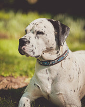 Laden Sie das Bild in den Galerie-Viewer, Halsband Daisy
