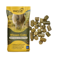 Wiesen-Cobs 20 kg