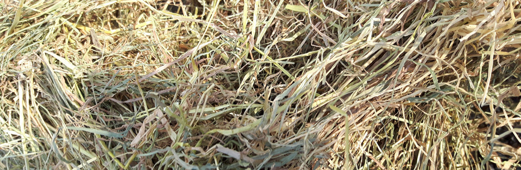 EST Timothee Heu 18 kg