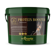 Laden Sie das Bild in den Galerie-Viewer, WES Protein Booster - FutterFEE /