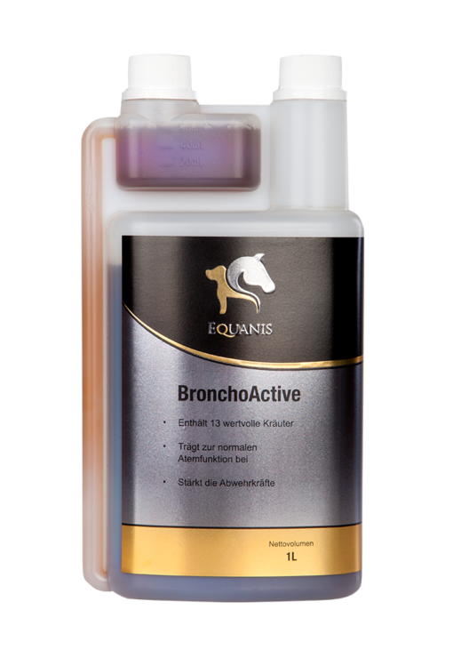 BronchoActive – Flüssige Hustenkräuter Pferd. Schleimlösend bei Husten