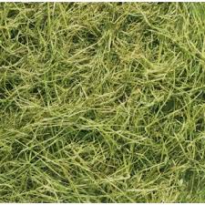 Horse Dinner Ryegras 18 kg