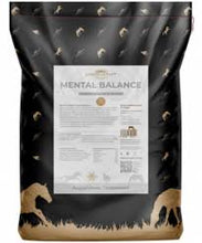 Laden Sie das Bild in den Galerie-Viewer, Kristallkraft Mental Balancer - 6,5 kg  Neu im Sortiment (Vorbestellung 1-2 Wochen)