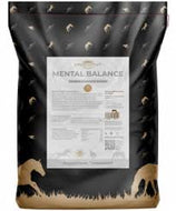 Kristallkraft Mental Balancer - 6,5 kg  Neu im Sortiment (Vorbestellung 1-2 Wochen)