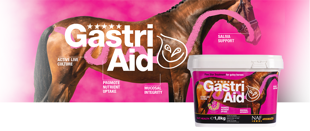 GastriAid Powder 1,8kg NAF