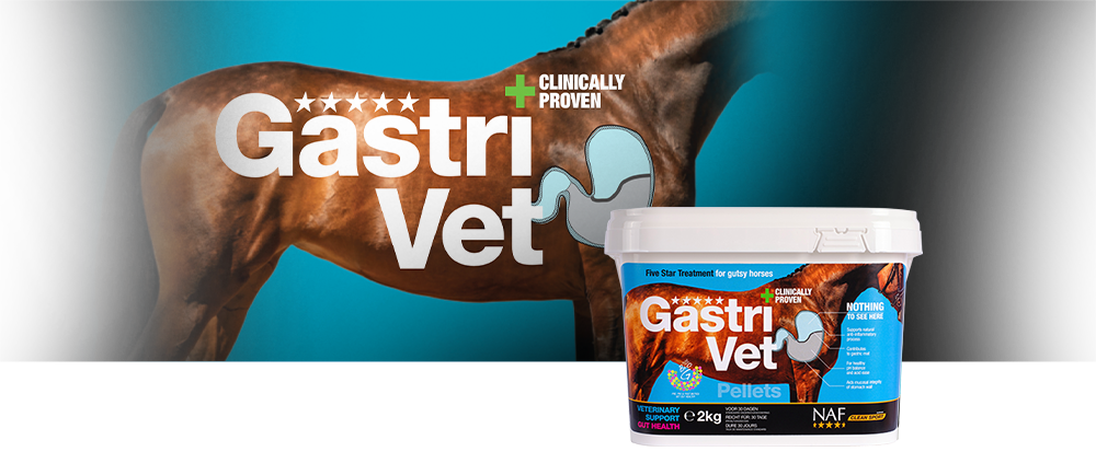 NAF GastriVet Pellets 2 kg