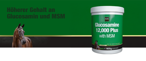 NAF Glucosamine 12000 Plus mit MSM