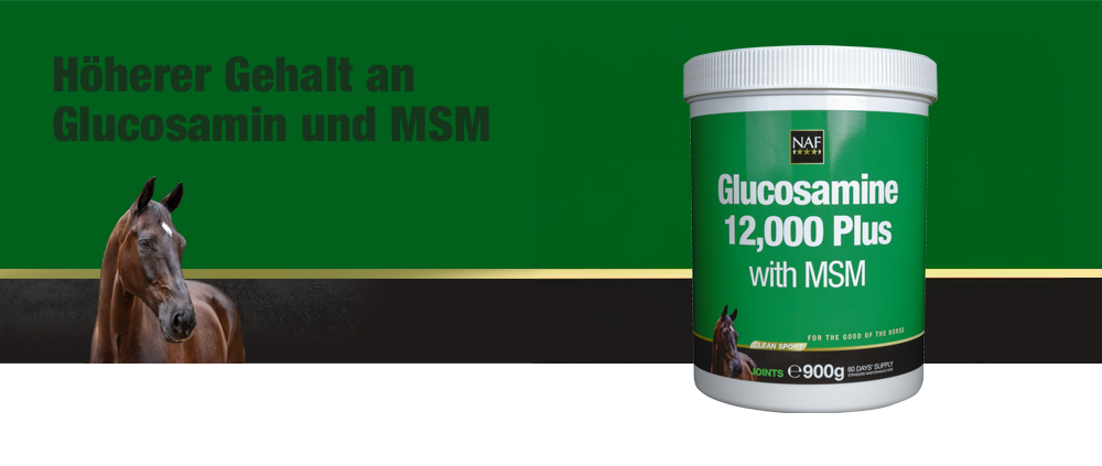 NAF Glucosamine 12000 Plus mit MSM