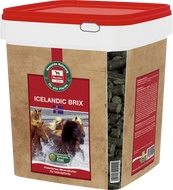 Salvana ICELANDIC BRIX
